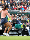 HSBC Championships at Queen's Club 
