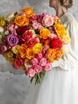 Everything Is Coming Up Roses 
