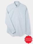 Green Stripe Oxford Button-Down Shirt 