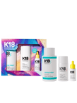 Biomimetic Hairscience Next-Level Hair Repair Set