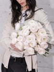 Clooni Ranunculus 