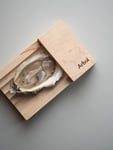 Oyster Shucker