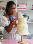 Dee's Basement Cakes 