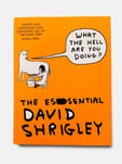 What The Hell Are You Doing? The Essential David Shrigley 
