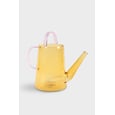 Glass Watering Can