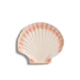 Cockle Plate 