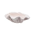 Giant Clam Shell In Pink