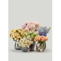Designer's Choice In Pearlescent Shades 