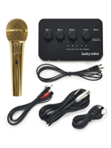 Gold Bluetooth Karaoke Machine