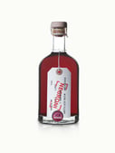 Negroni Cocktail