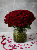 100 Red Roses Flowers Bouquet