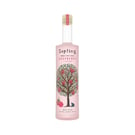 Raspberry + Hibiscus Vodka 