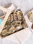 Fresh Jersey Oysters x 12 