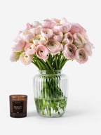 Ballet Slippers Italian Ranunculus 