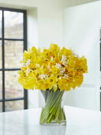 100 Delightful Daffodils & Narcissus