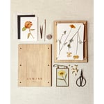 Press & Mount- Flower Pressing Kit 