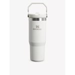 Iceflow™ flip-straw Recycled Bottle 