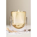 Woody Juniper & Cedar Candle 