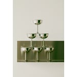 Stainless Steel Coupe  