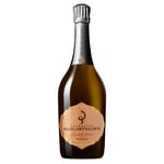 Elisabeth Salmon Rose 2012 