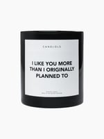 I Like You More Than I Originally Planned To Candle 