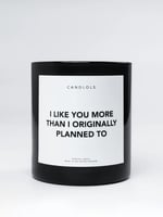 Luxury Scented Candle