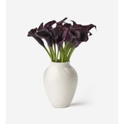 Mauve Calla Lily