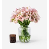 Ballet Slippers Italian Ranunculus 