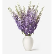 Dusty Lilac Delphinium 