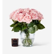 Pink Sweet Avalanche Roses 