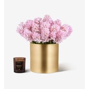 Mademoiselle Hyacinth