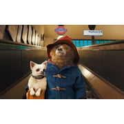 The Paddington Bear Experience 