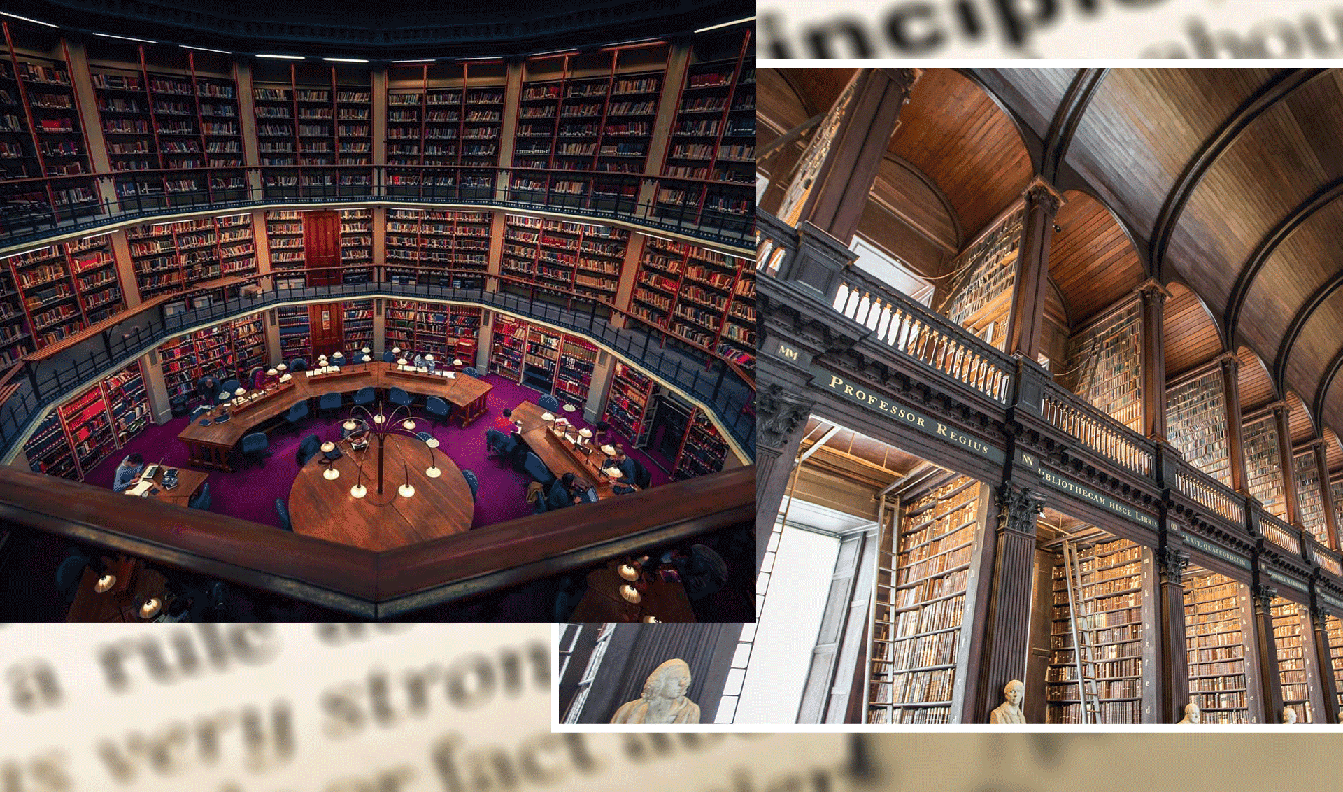 8 Of The World's Most Beautiful Libraries - The Handbook