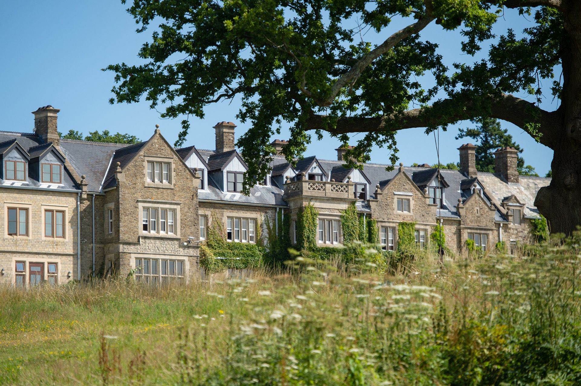 A row of large stone houses with gabled roofs and chimneys, partially covered in ivy, set behind a wild grassy field and tree branches under a clear blue sky—a perfect scene for any sustainable travel guide.