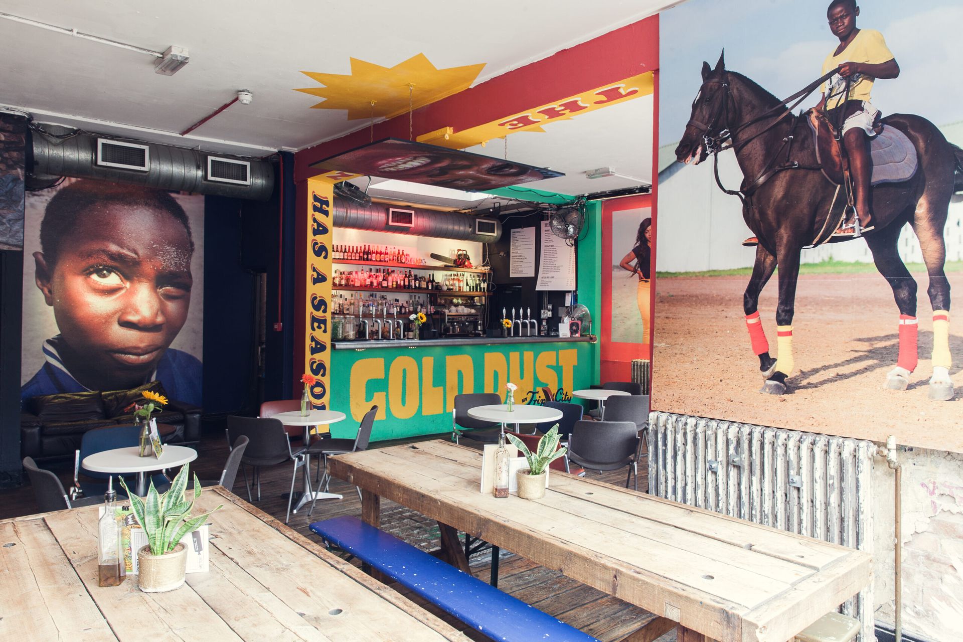 A colourful bar named Gold Dust features wooden tables with plants, small round tables with chairs, vibrant wall murals of boys—including one riding a horse—and is the perfect spot for any margarita-lover to enjoy their favourite drink or host an event.