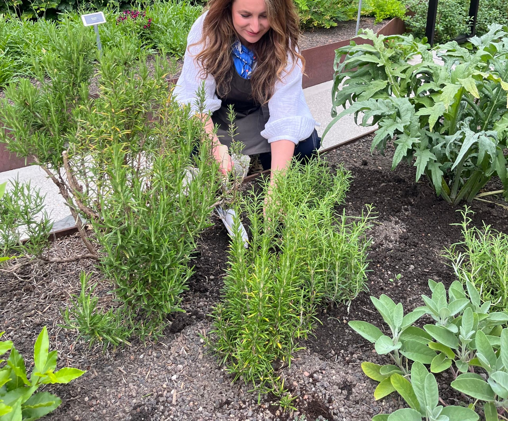 A woman with long hair wearing a white shirt and dark apron tends to herbs in a garden at the Dolder Grand in Zurich, surrounded by green plants and fresh soil—a scene straight from a Fairytale Hotel.