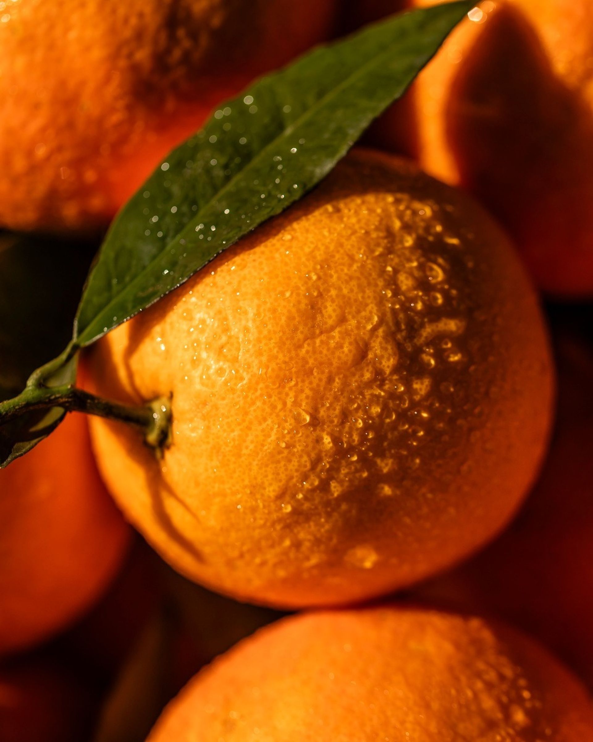orange
