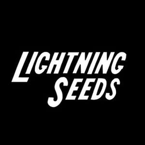 Lightning Seeds