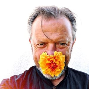 David Loftus