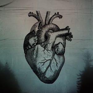 The Used