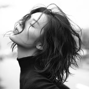 Liu Wen