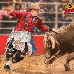 Cody Webster