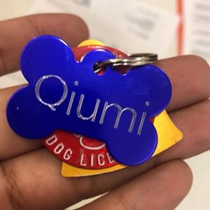 Qiumi