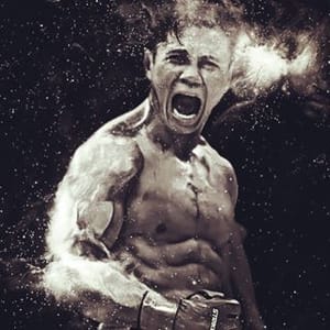 Cung Le