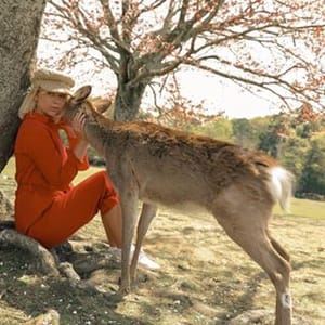 Stella Luna