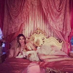 Ragdoll Pink Palace