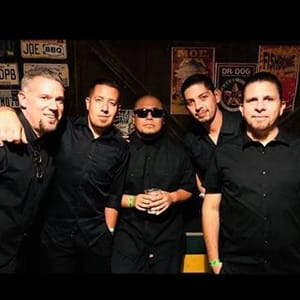 The Aggrolites