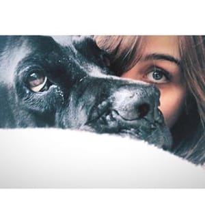 Ginevra Mrs