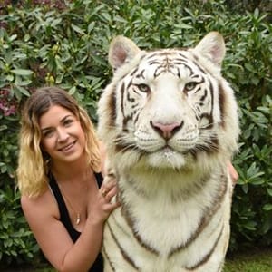 Tawny Antle