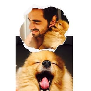 Nitish Arora